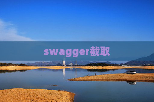 swagger截取